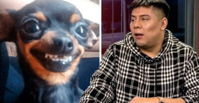 ¿¡Espera, qué!? Influencer deja de ser vegano porque lo mordió un perro