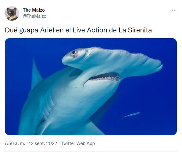 meme tiburón sirenita