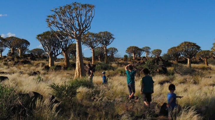 children walking on an excursion in a landscape full of trees 