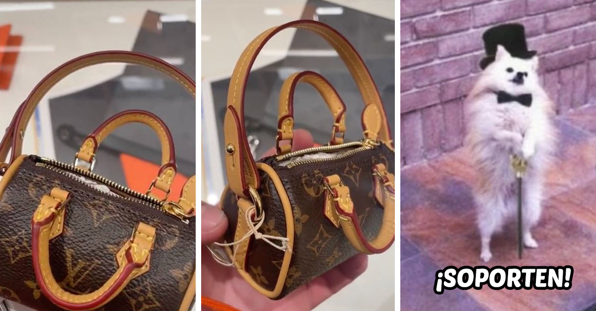 Bolsa para sales perro louis vuitton