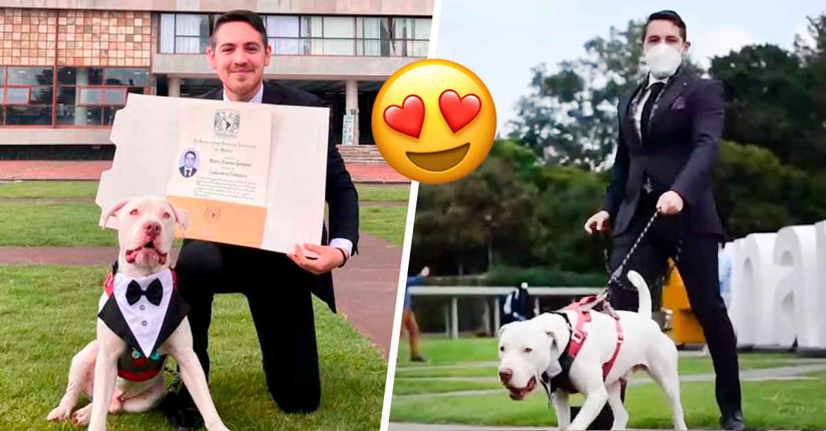 Puppy poses in a tuxedo at his owner’s graduation and looks like a graduate