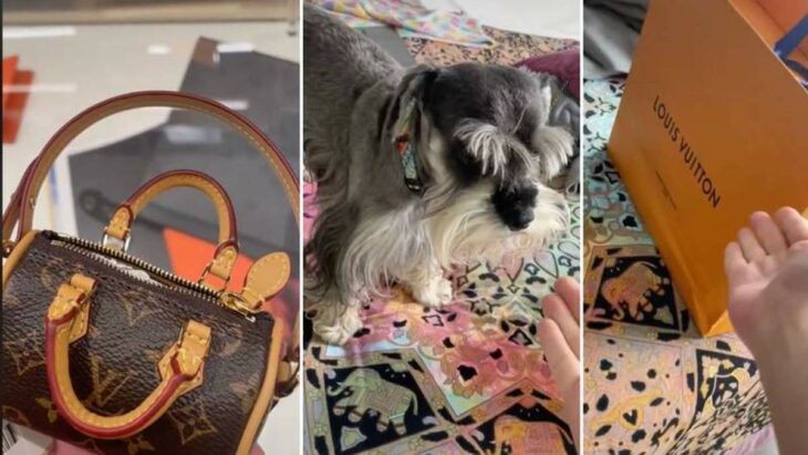 Louis Vuitton lanza bolsa para perros por 900 dólares
