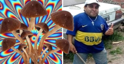 Consumió unos hongos y secuestró a un hombre de estatura baja creyendo que era un duende