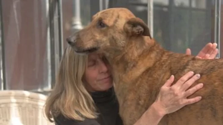 Familia se reencuentra con su perrito meses después de darlo por perdido