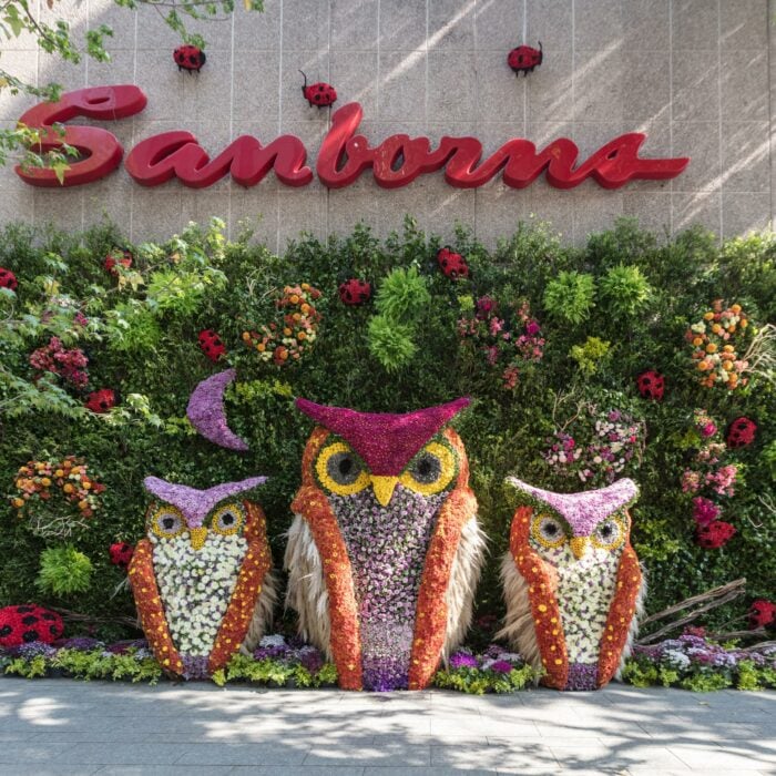 Adorno de flores sobre la fachada de Samborns en Polanco, Ciuda de México 