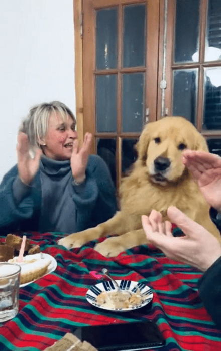 perro sentado a la mesa