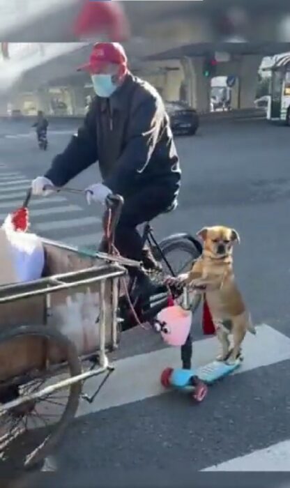 imagen que muestra a un perrito acompañando a su dueño a vender tamales 