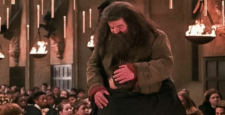 Cuando vuelve Hagrid