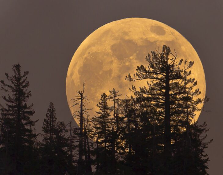 Luna llena del cazador