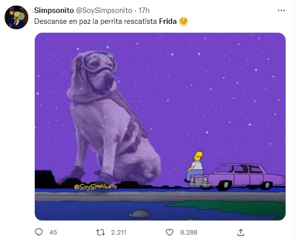 reacción en twitter por la muerte de la perrita frida