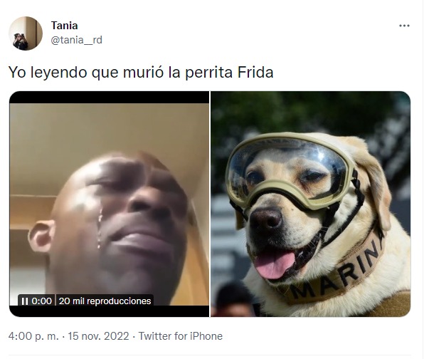 reacción por la muerte de perrita frida