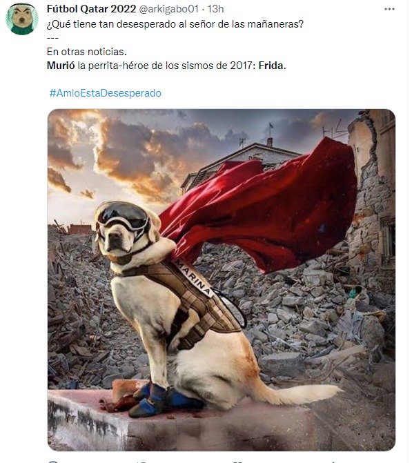 reacción en twitter por la muerte de la perrita Frida