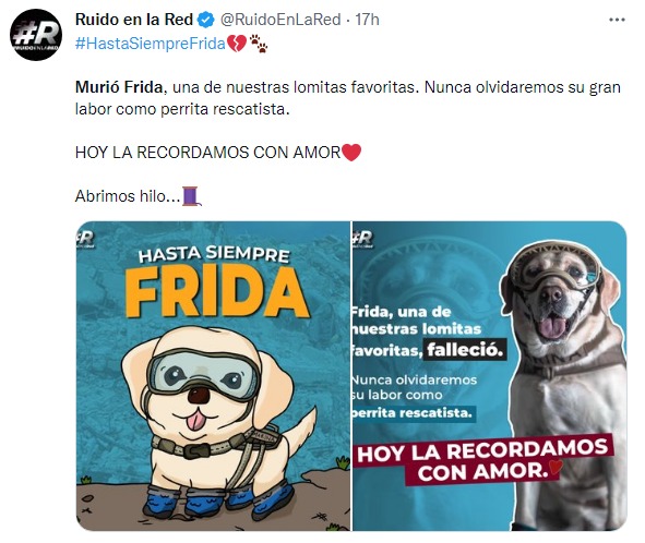 reacción en twitter por la muerte de la perrita Frida