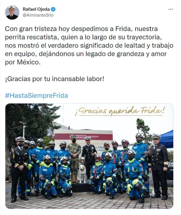 Rafael Ojeda le da el último adiós a la perrita Frida
