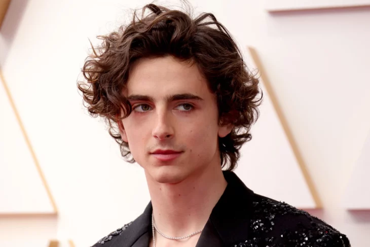 Timothée Chalamet esta en una alfombra roja lleva un saco brilloso negro y el cabello un poco largo y ondulado esta mirando en otra dirección