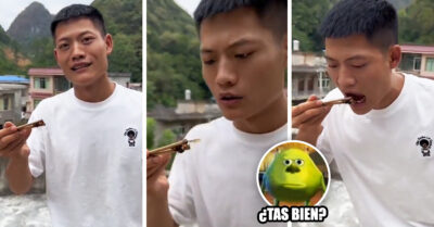 ¿A dónde vamos a parar? Influencer se come una avispa y termina irreconocible