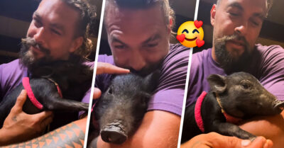 ¡Qué envidia! Jason Momoa adopta un cerdito, lo lleva al estreno de su película y le quiere pintar las uñas
