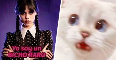 Jenna Ortega, protagonista de ‘Merlina,’ confiesa que practicaba autopsias a animales muertos