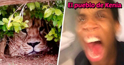 León aterroriza a un pueblo en Kenia y resulta que era una bolsa de supermercado
