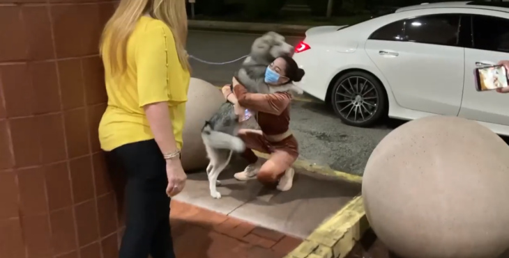 meeting of a husky dog ​​with her owner after two months without seeing her the dog hugs her owner while another person witnesses this meeting the dog is of the husky breed has white fur with black spots 