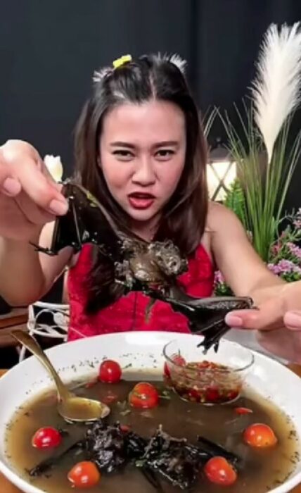 image of a thai girl eating a bat in soup 