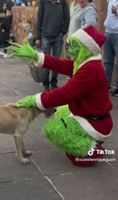 Hombre disfrazado de Grinch acariciando un perro y enojado con un niño