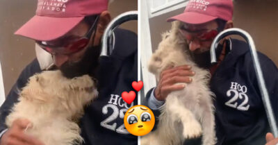 Abuelito ciego y sin hogar lloró emocionado al reencontrarse con su perrito perdido