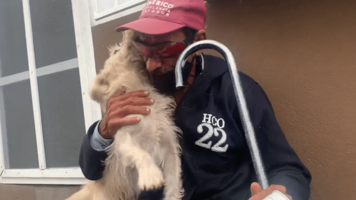 a grandfather is reunited with his puppy they are showing how much they missed each other the puppy is white his owner wears a navy blue jacket and a red cap wears a cane and sunglasses