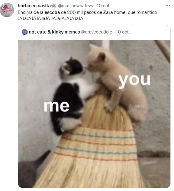 meme de la escoba cara de zara home