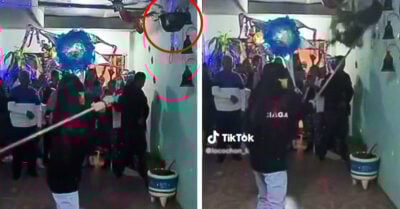 Chica confunde una maceta con la piñata y baña de tierra a sus invitados