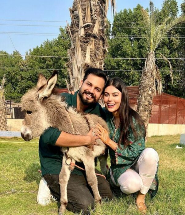 Novio le regala burro a su esposa