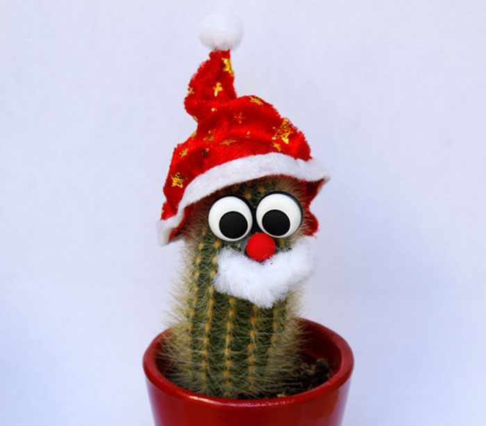 Plantita decorada para navidad