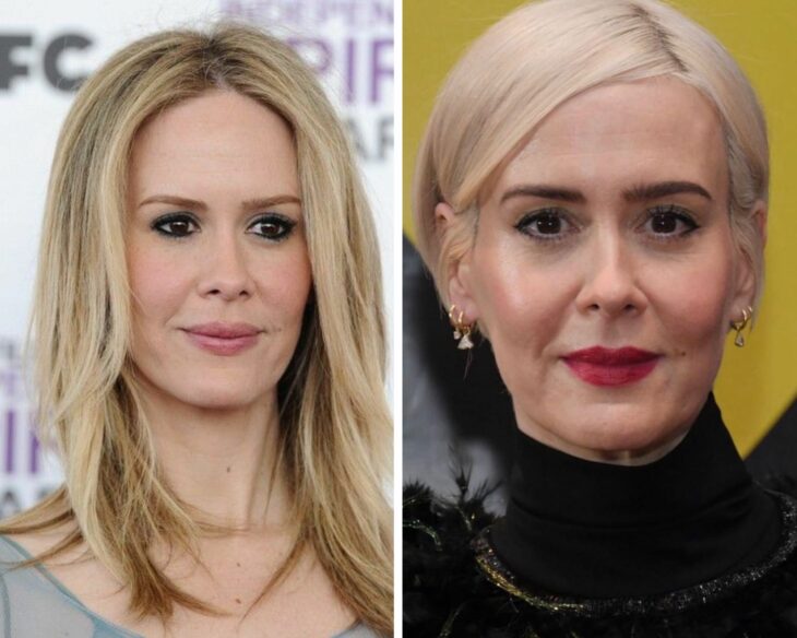 Sarah Paulson before and after