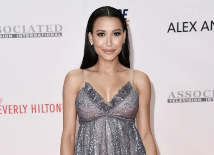 Naya Rivera on a red carpet wears a gray dress and loose hair 