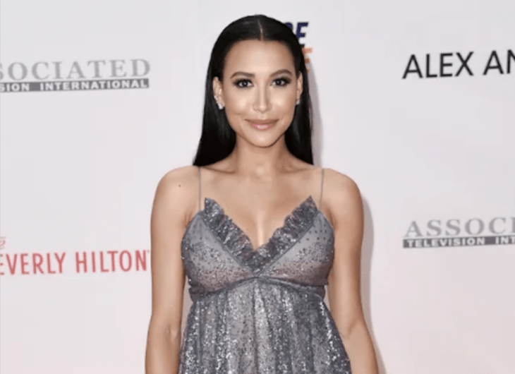 Naya Rivera en una alfombra roja lleva un vestido gris y cabello suelto 