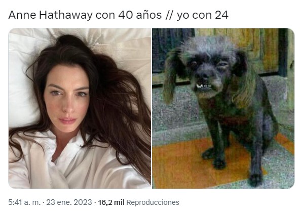 captura de pantalla de un meme de Anne Hathaway 