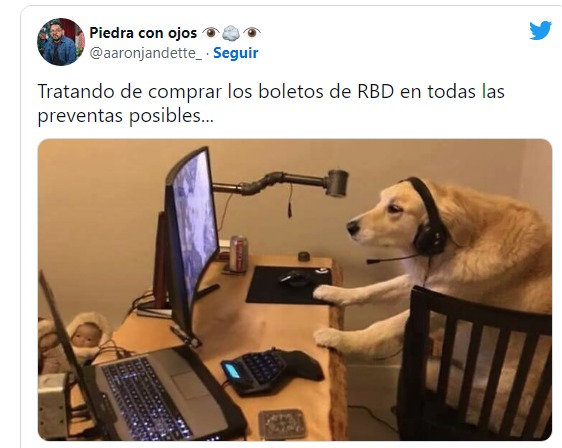 meme perro compra de boletos rbd