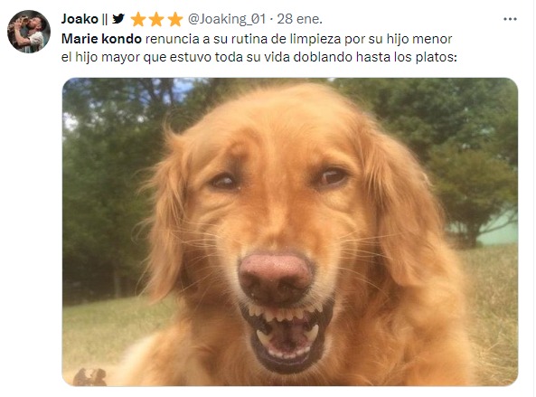 meme perro sonriendo por marie kondo