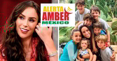 Excuñada de Inés N pide Alerta Amber para poder ver a sus sobrinos