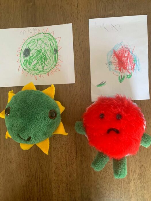 stuffed animals designed by two children a green sun and an apple 