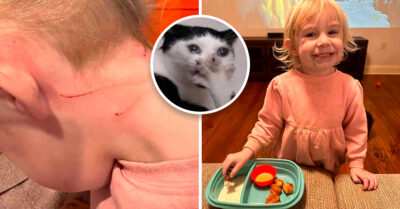 Gallo ataca a una niña y la madre lo hace nuggets en venganza