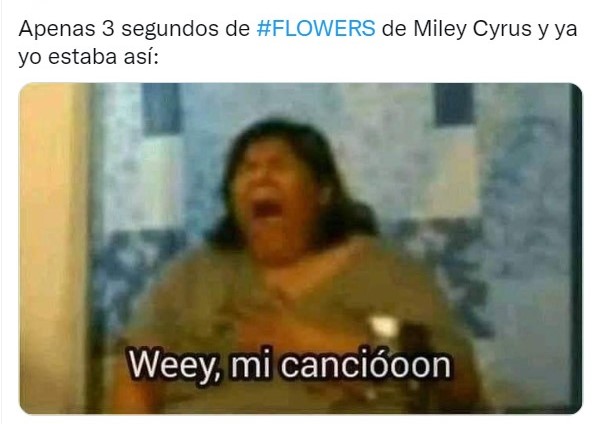 meme de aimep3 emocionada con el texto sobre la canción Flowers de Miley Cyrus 