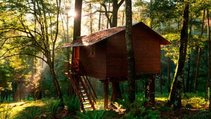 una casita del árbol construida en algún bosque ya que está rodeada de árboles y naturaleza la construcción es completamente de madera