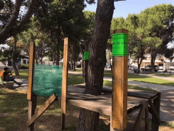 Image of a public park where the bases of the construction of what appears to be a tree house can be seen but construction suspension seals are seen 