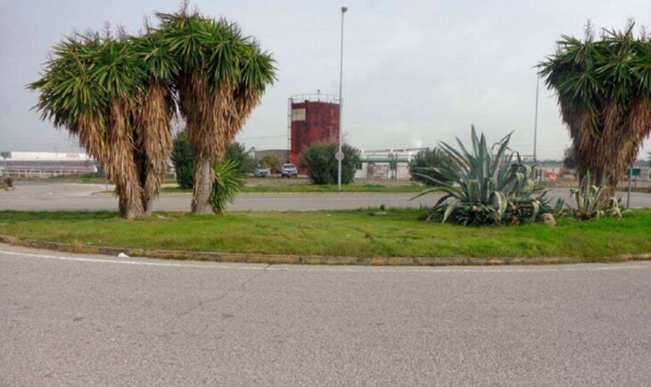 las calles del barrio de Palmete uno de los distritos de Sevilla en España es una glorieta que tiene palmeras y pasto verde al centro