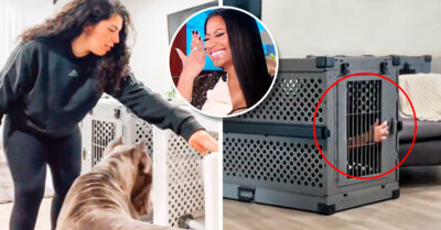 Se quedaron encerrados en una transportadora de perros y lo único que hicieron fue reír