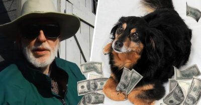 Perrita hereda 5 millones de dólares tras la muerte de su amo y desata la envidia de muchos