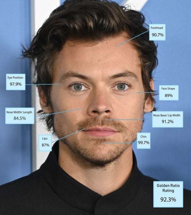 image with the golden ratio of the face of singer Harry Styles 