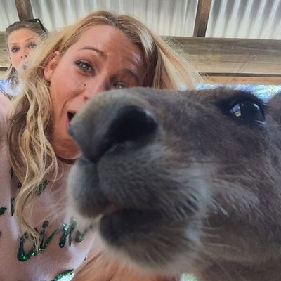 Animal sneaks into the photo of Taylor Swift and Blake Lively