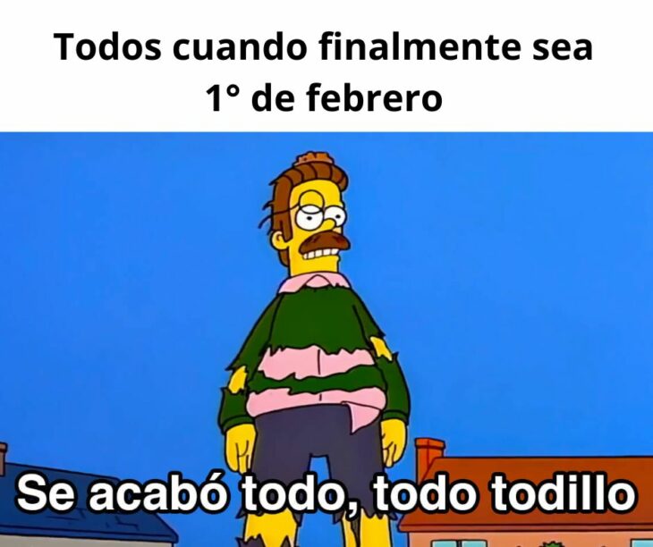 Meme Flanders Se acabó todo todo todillo